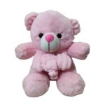 Cuddle-Ready Pink Teddy Bear Plush with Soft Ribbed Blanket